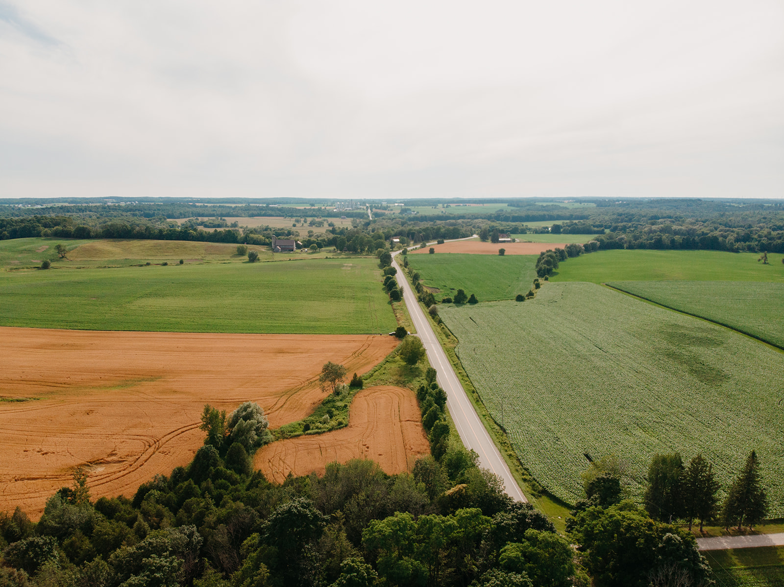 Farmland in Brockton