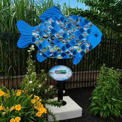 Community Fish