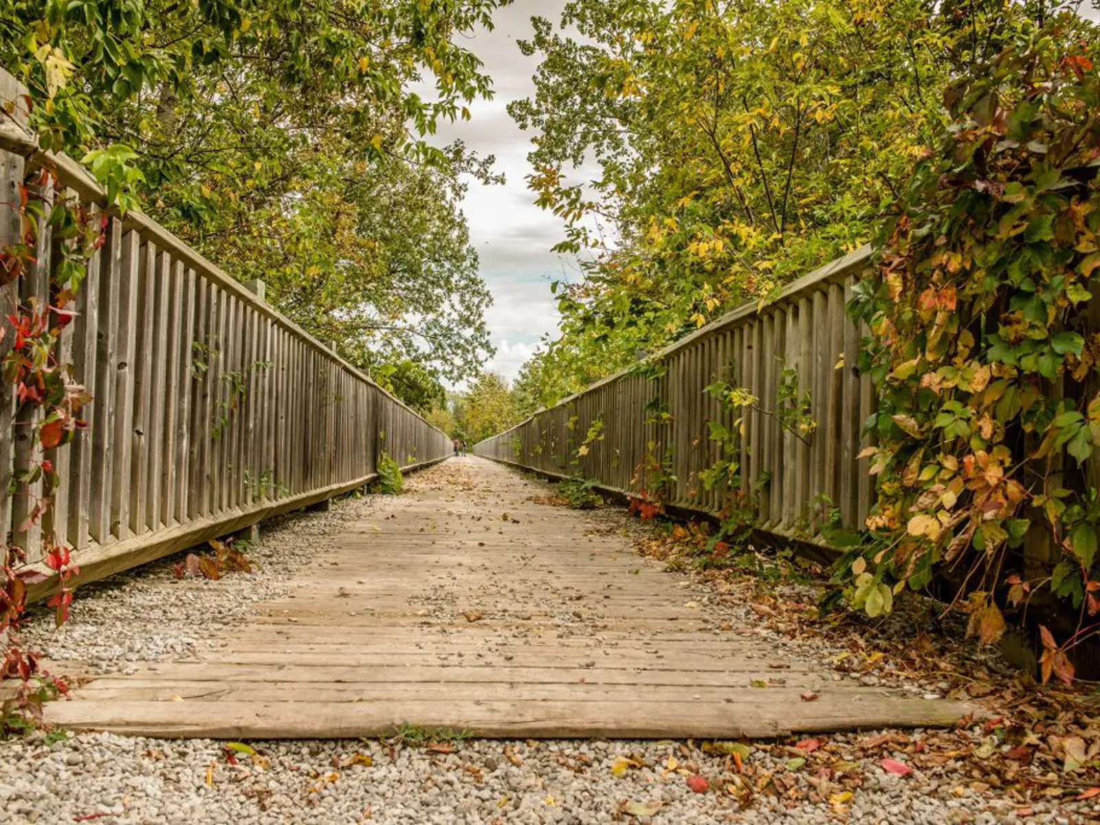 Trails | Municipality of Brockton